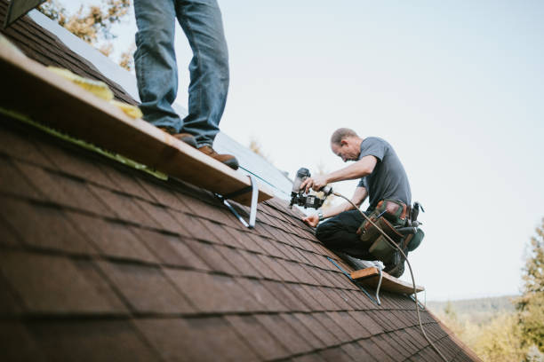 Quick and Trustworthy Emergency Roof Repair Services in Newton, MS